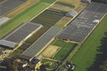 Trostomatenkwekerij De Grevelingen